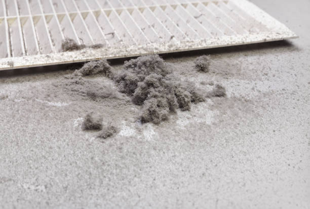 Best Air Duct Mold Removal  in Eldridge, IA