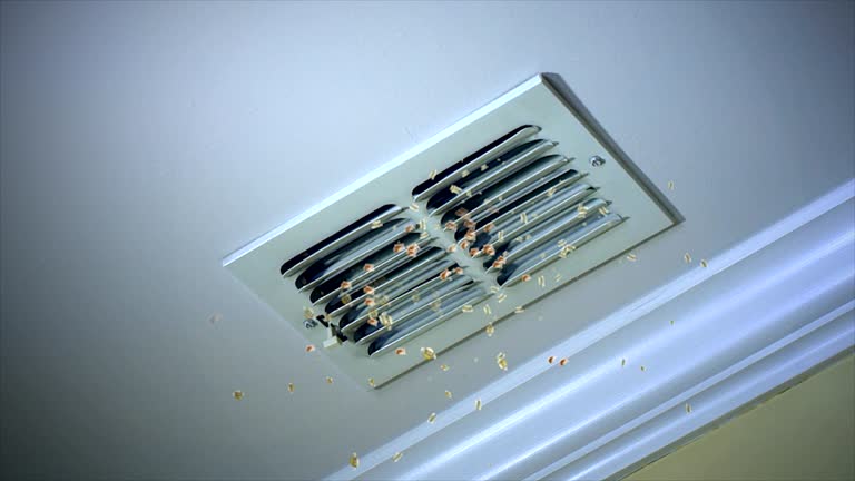 Best Air Duct Cleaning Near Me  in Eldridge, IA
